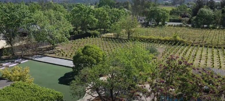 A Private Oasis with Pool, Vineyard, Hot Tub, Bocce & More - Sonoma, California