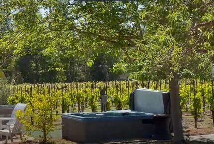 A Private Oasis with Pool, Vineyard, Hot Tub, Bocce & More - Sonoma, California