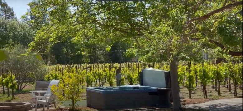 A Private Oasis with Pool, Vineyard, Hot Tub, Bocce & More - Sonoma, California