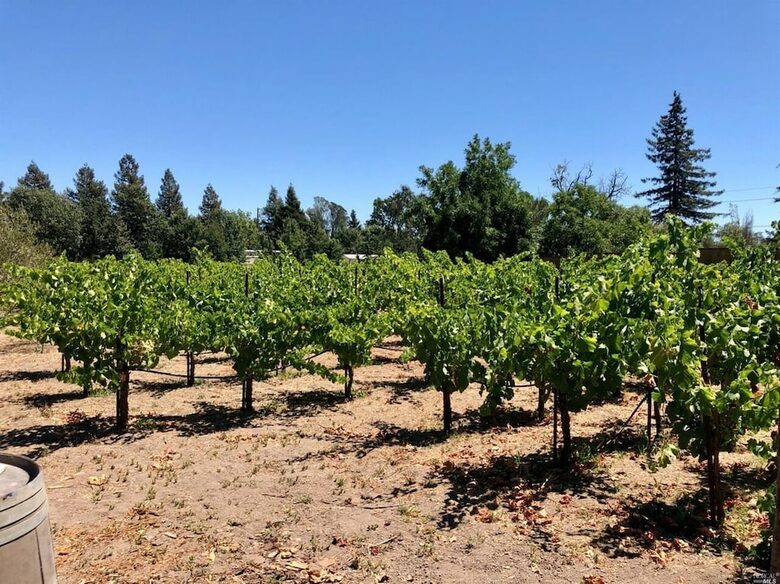 A Private Oasis with Pool, Vineyard, Hot Tub, Bocce & More - Sonoma, California