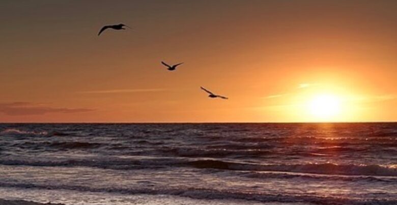 Siesta Key Beach Getaway - Siesta Key, Florida