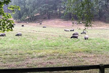 House Eriksberg - Lidingö, Sweden