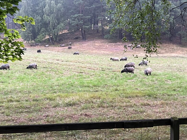 House Eriksberg - Lidingö, Sweden