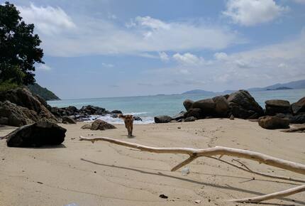 Windcatcher Villa with a Secluded Beach - Koh Lipe, Thailand