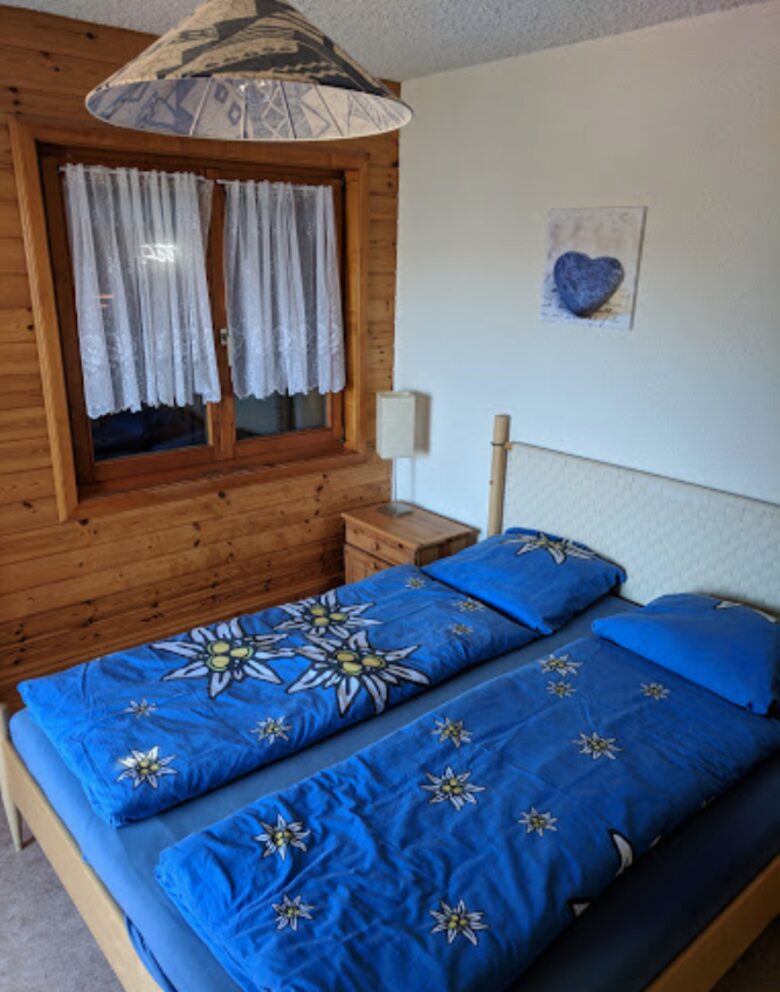 La Tzoum’Chalet - La Tzoumaz, Switzerland