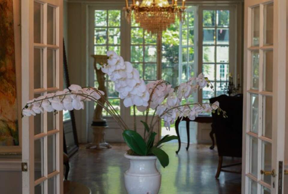 Mansion Papilio - Ciudad de México, Mexico