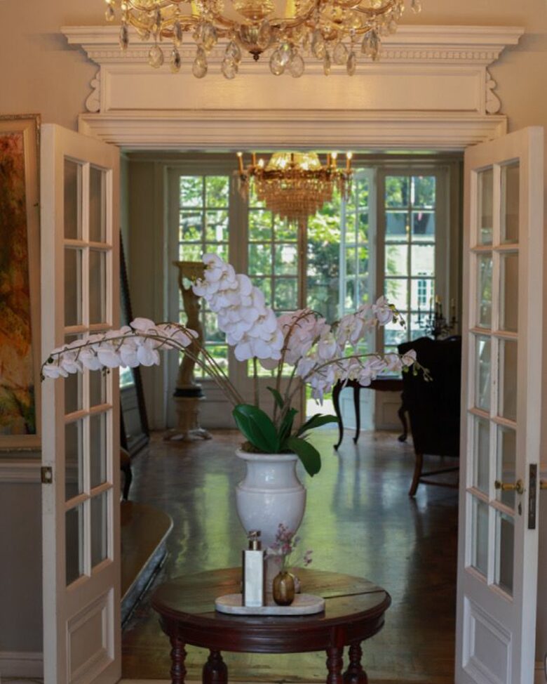 Mansion Papilio - Ciudad de México, Mexico