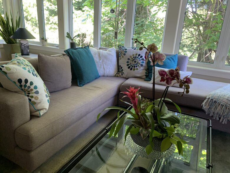 living room looking over the the ravine, feels like a treehouse