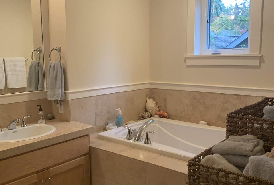 master bathroom - has a shower as well as a big soaking tub