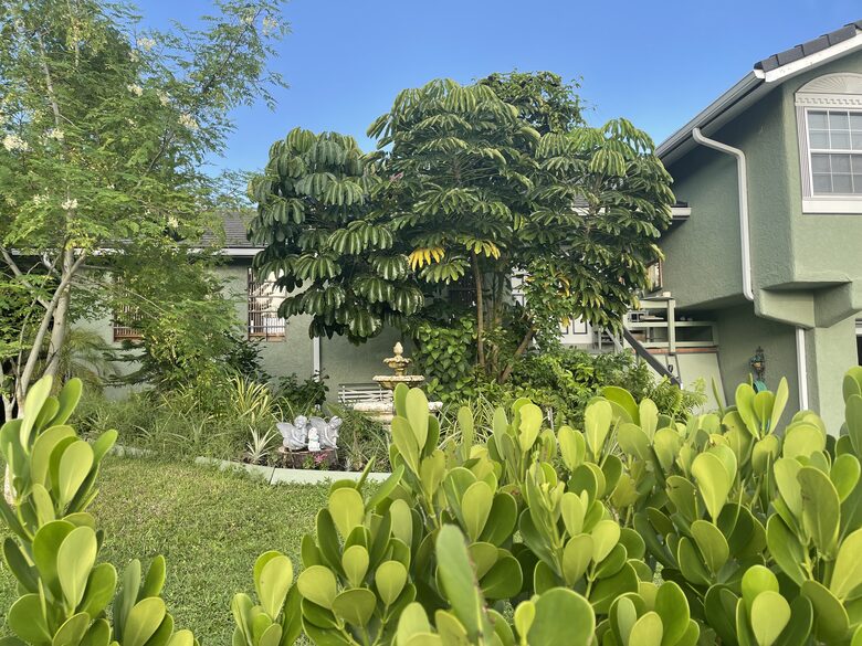 Unique Art Deco Waterfront Getaway - Marco Island, Florida