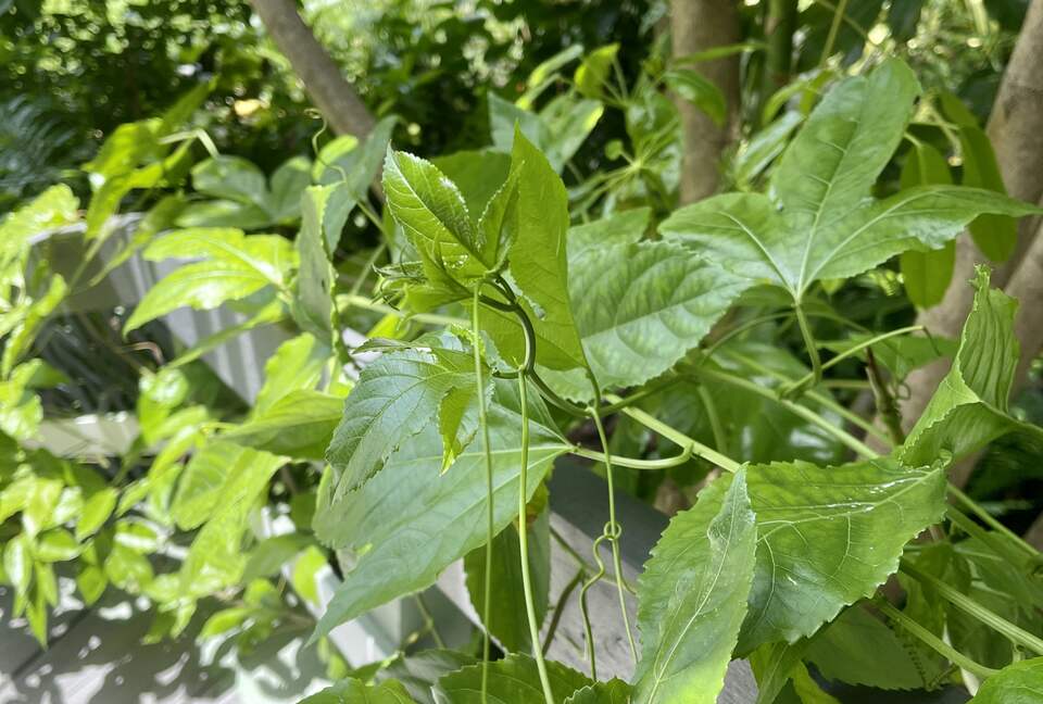 Unique Art Deco Waterfront Getaway - Marco Island, Florida