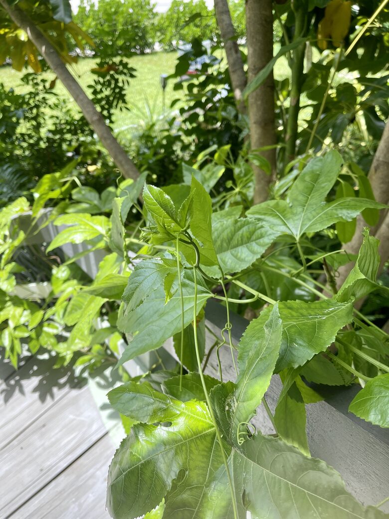 Unique Art Deco Waterfront Getaway - Marco Island, Florida