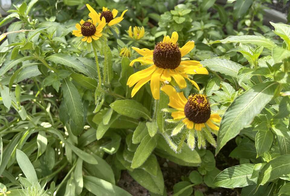 Unique Art Deco Waterfront Getaway - Marco Island, Florida