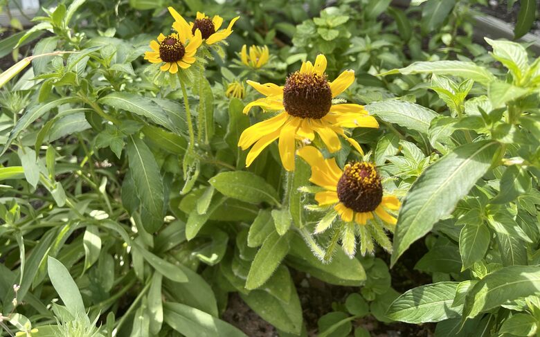 Unique Art Deco Waterfront Getaway - Marco Island, Florida