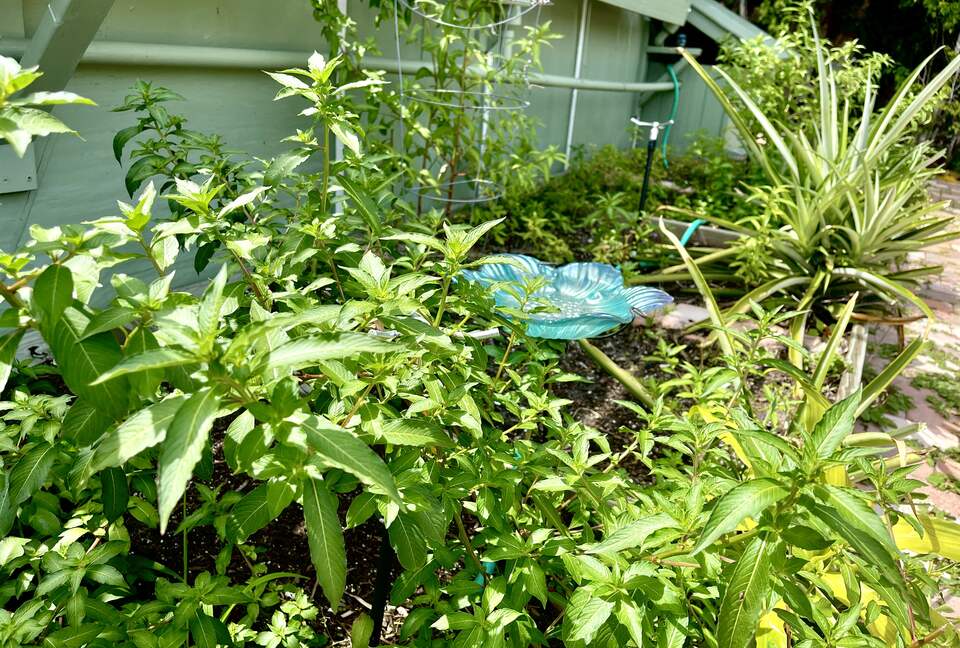 Unique Art Deco Waterfront Getaway - Marco Island, Florida