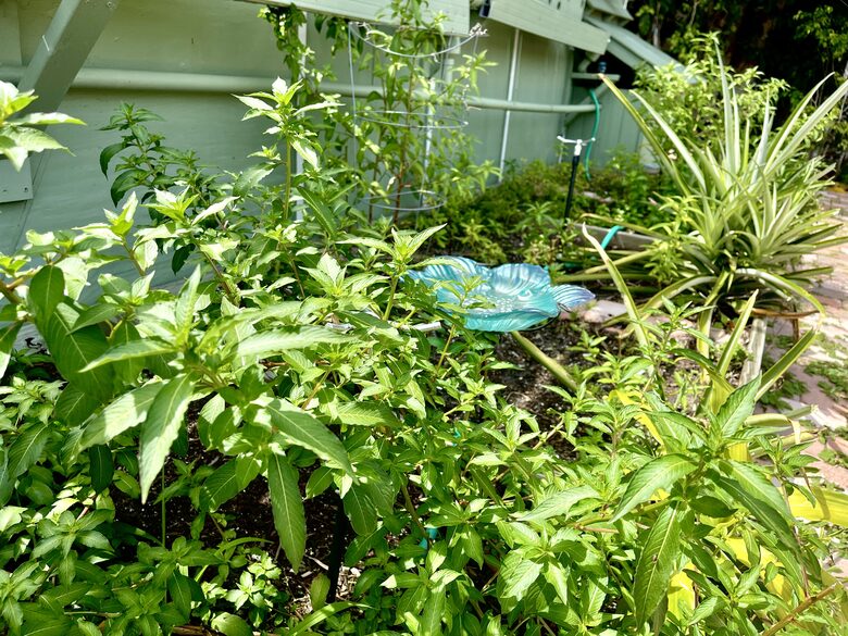 Unique Art Deco Waterfront Getaway - Marco Island, Florida