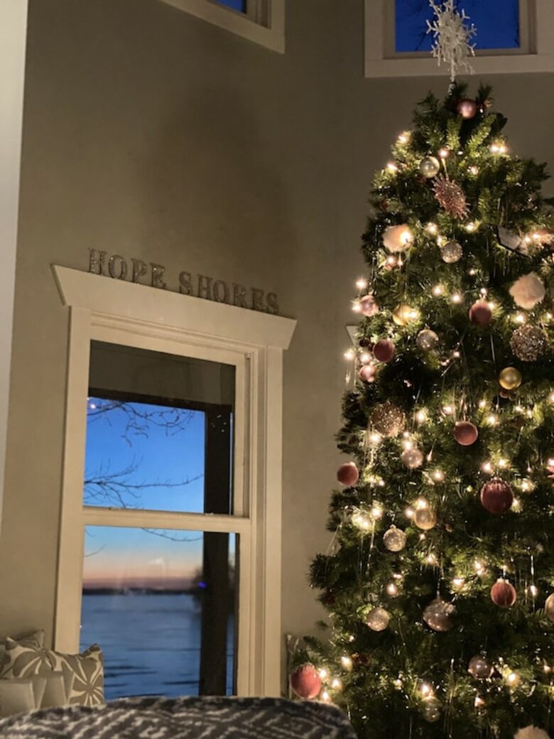 Cozy Lakefront Escape with a Home Theater - Dassel, Minnesota