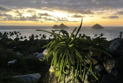 Sweeping Postcard Views of the Mokulua Islands - Kailua, Hawaii