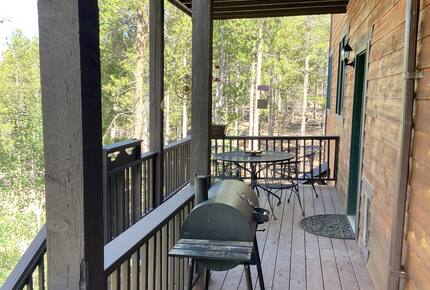 Exquisite Mountain Lodge with Stunning Views - Bailey, Colorado