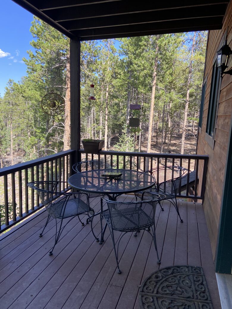 Exquisite Mountain Lodge with Stunning Views - Bailey, Colorado