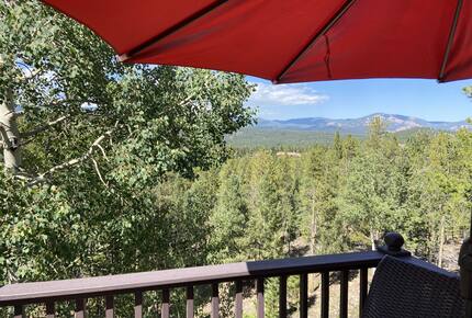 Exquisite Mountain Lodge with Stunning Views - Bailey, Colorado