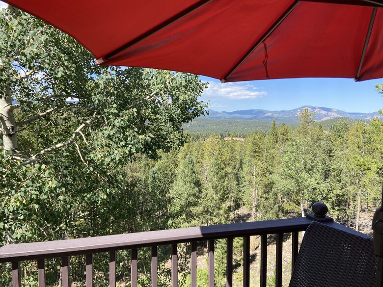 Exquisite Mountain Lodge with Stunning Views - Bailey, Colorado