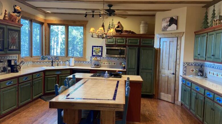 Exquisite Mountain Lodge with Stunning Views - Bailey, Colorado