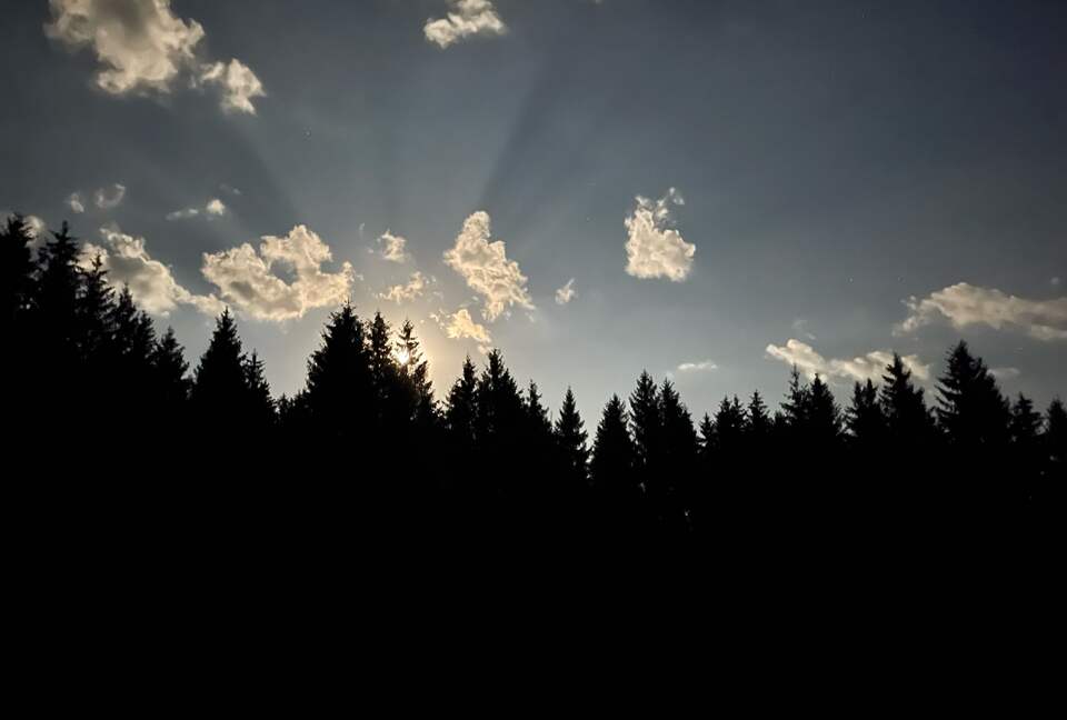 The view from the terrace