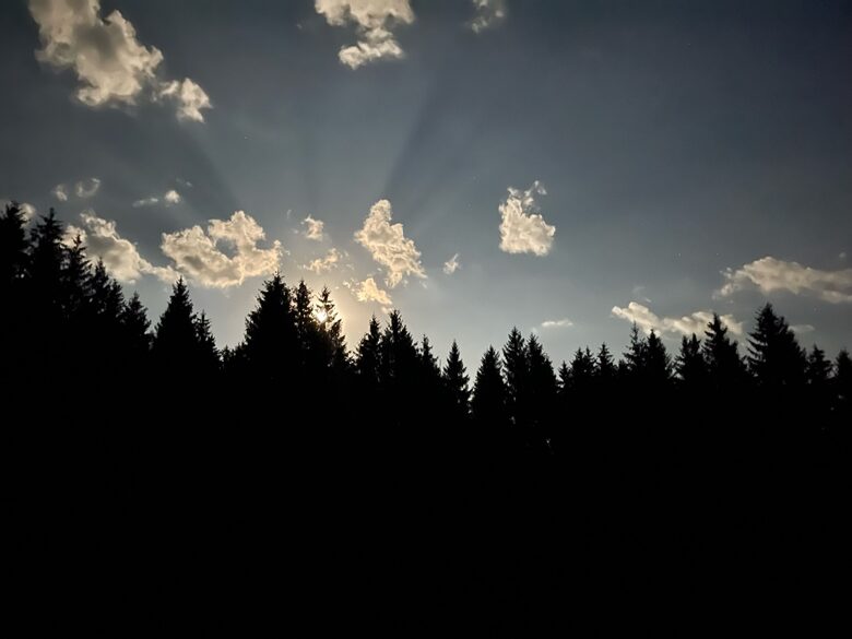 The view from the terrace