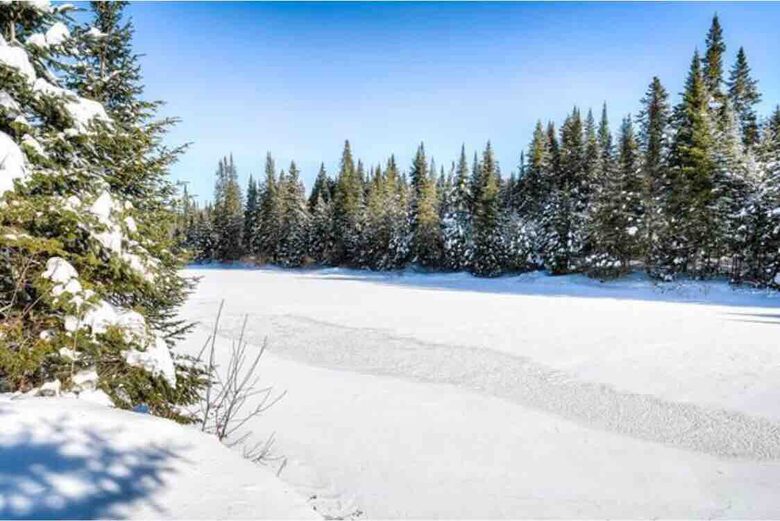 Waterfront Cabin Minutes to Mont Tremblant Ski Resort - Lac-Supérieur, Canada