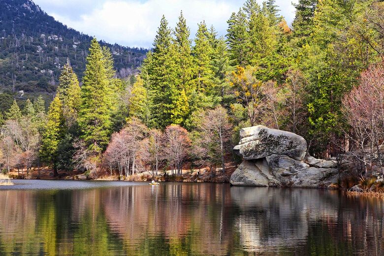 Goldfinch Lodge + Hot Tub - Idyllwild-Pine Cove, California