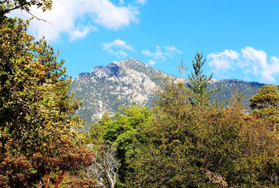 Goldfinch Lodge + Hot Tub - Idyllwild-Pine Cove, California