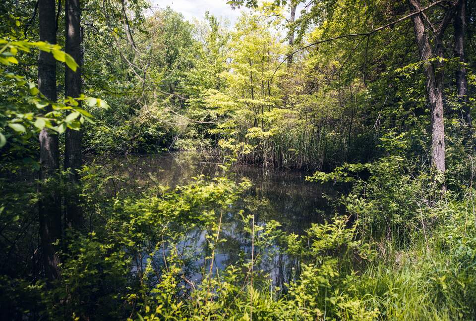 Peaceful Country Home | 2 Acres with a Firepit, Hot Tub, and Pond - Ghent, New York