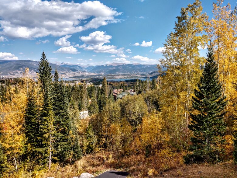 FALL VIEW FROM GREAT ROOM