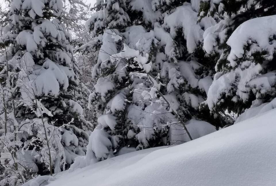 WINTER WONDERLAND NEAR HOT TUB