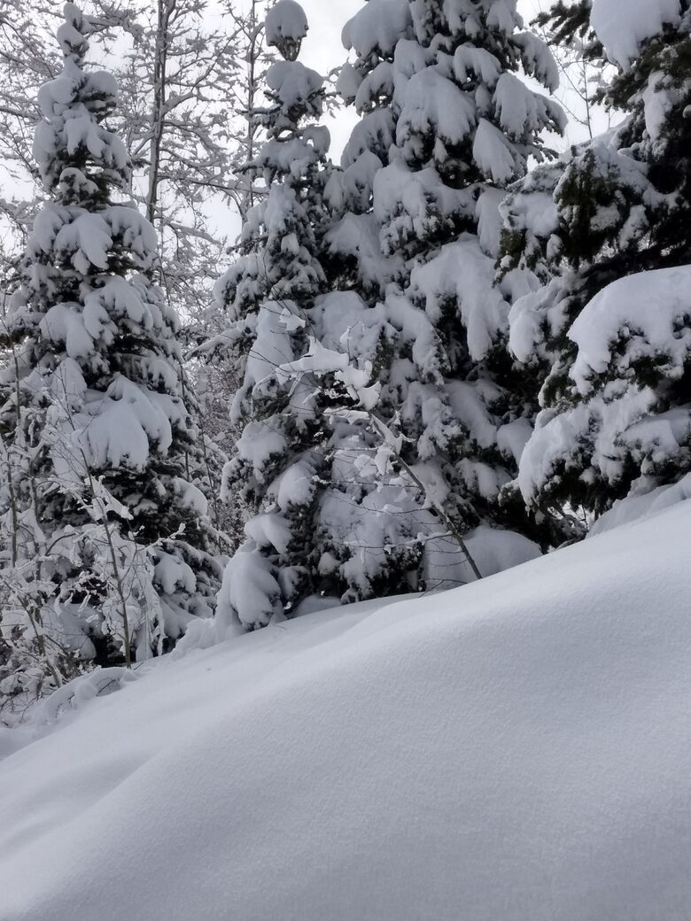 WINTER WONDERLAND NEAR HOT TUB