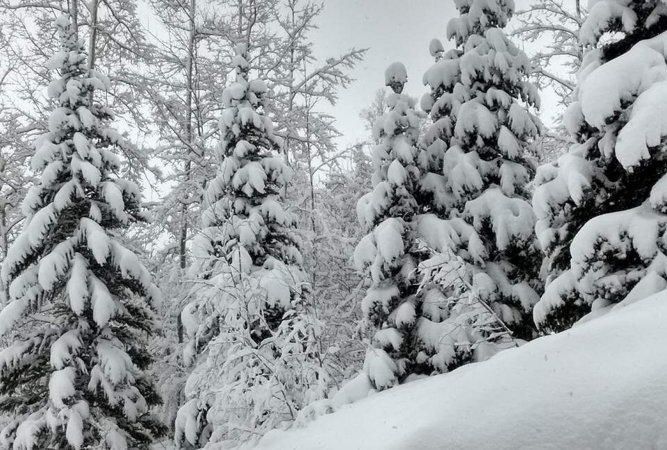 WINTER WONDERLAND FROM GREAT ROOM WINDOW