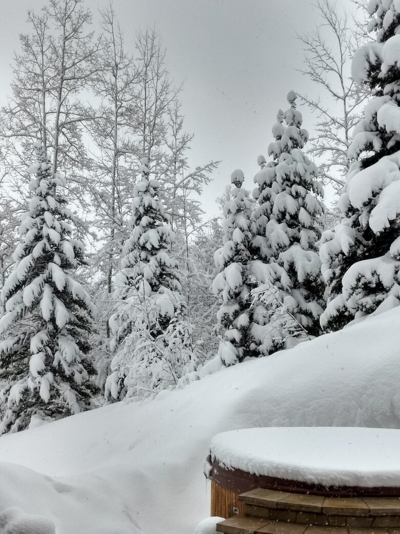 WINTER WONDERLAND FROM GREAT ROOM WINDOW