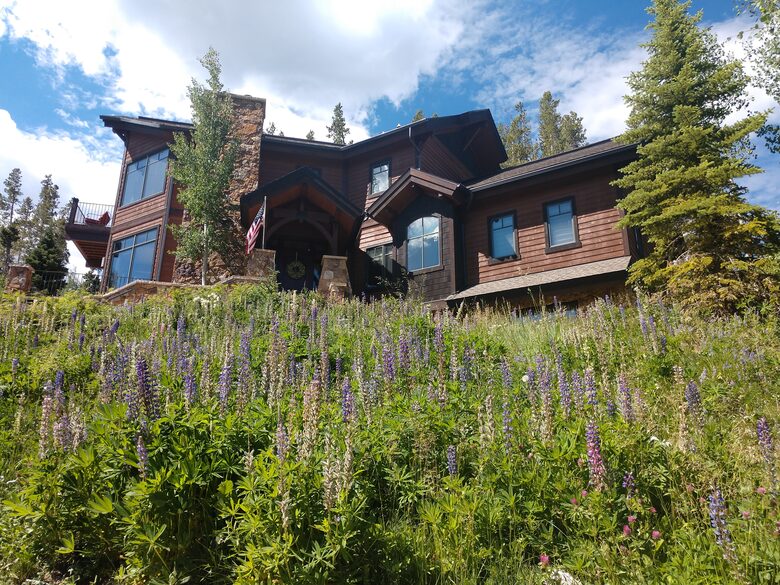 LOOKING UP AT FRONT OF HOUSE