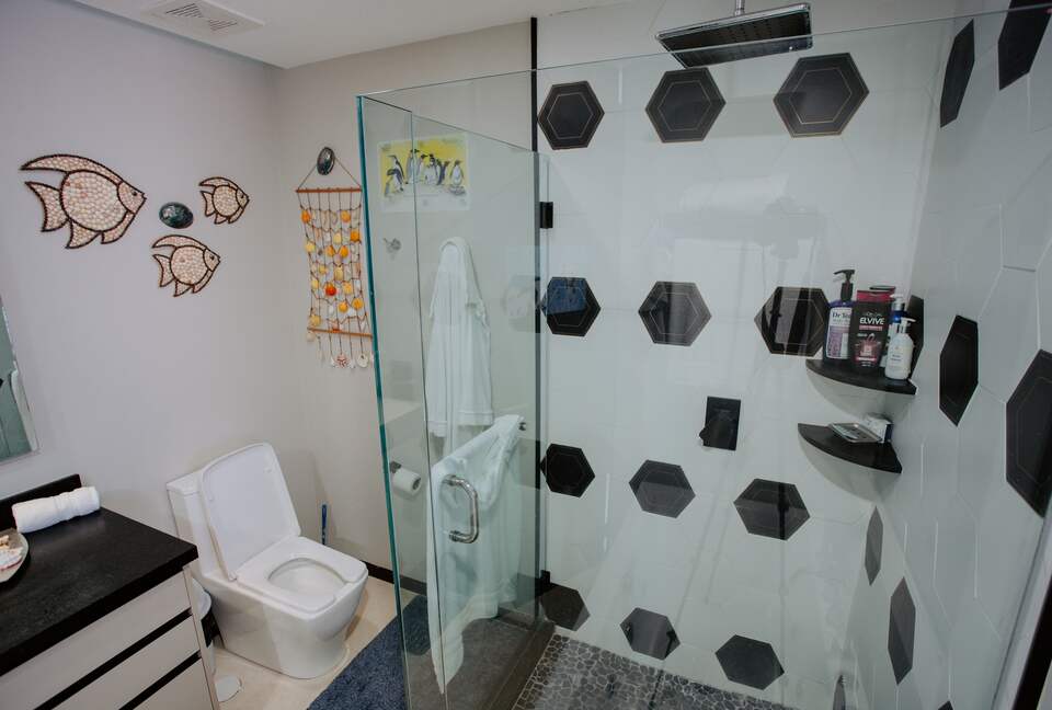 Modern shower with rainfall showered