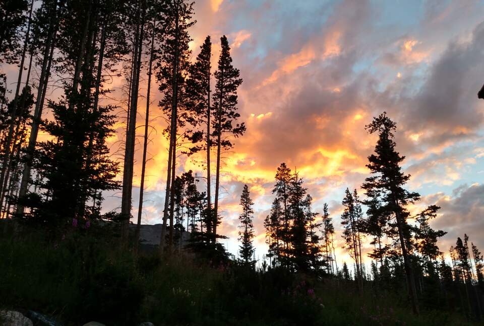 VIEW FROM PATIO LOOKING UP TO BUFFALO MOUNTAIN
