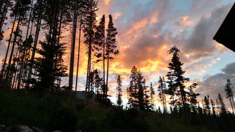 VIEW FROM PATIO LOOKING UP TO BUFFALO MOUNTAIN