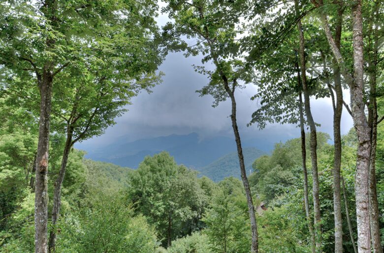 Wings of Dawn Smoky Mountain Retreat - Maggie Valley, North Carolina