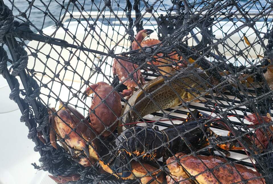 Kampedalen Estate (R) - Kristiansand, Norway