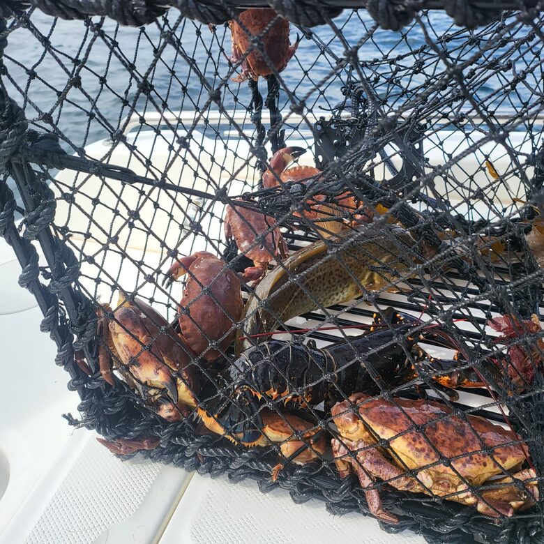 Kampedalen Estate (R) - Kristiansand, Norway