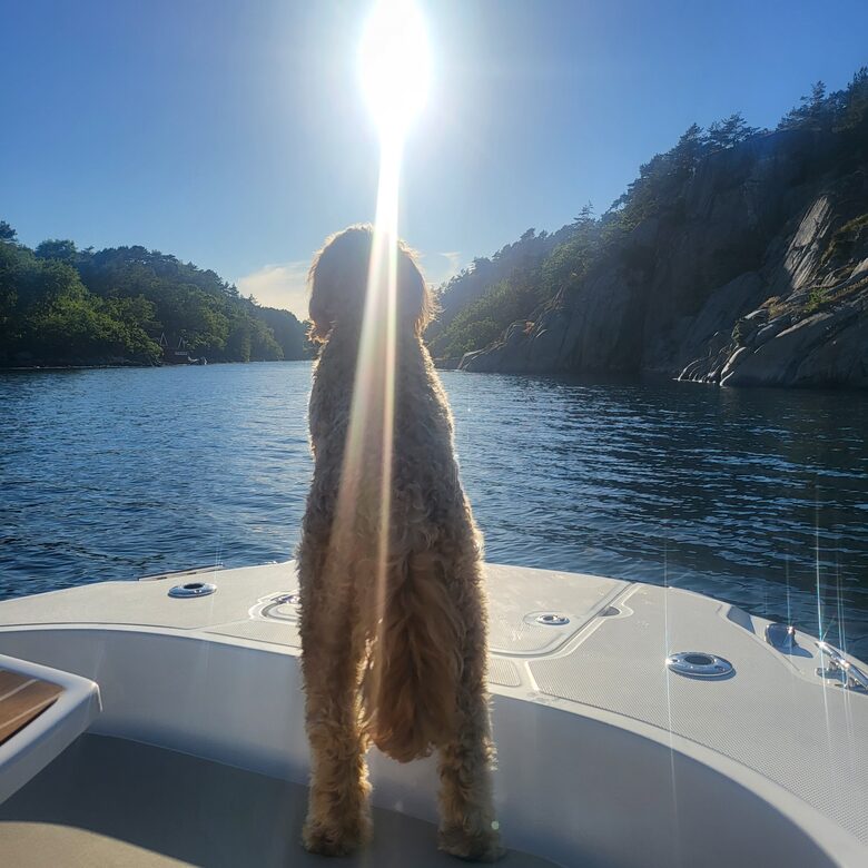 Kampedalen Estate (R) - Kristiansand, Norway