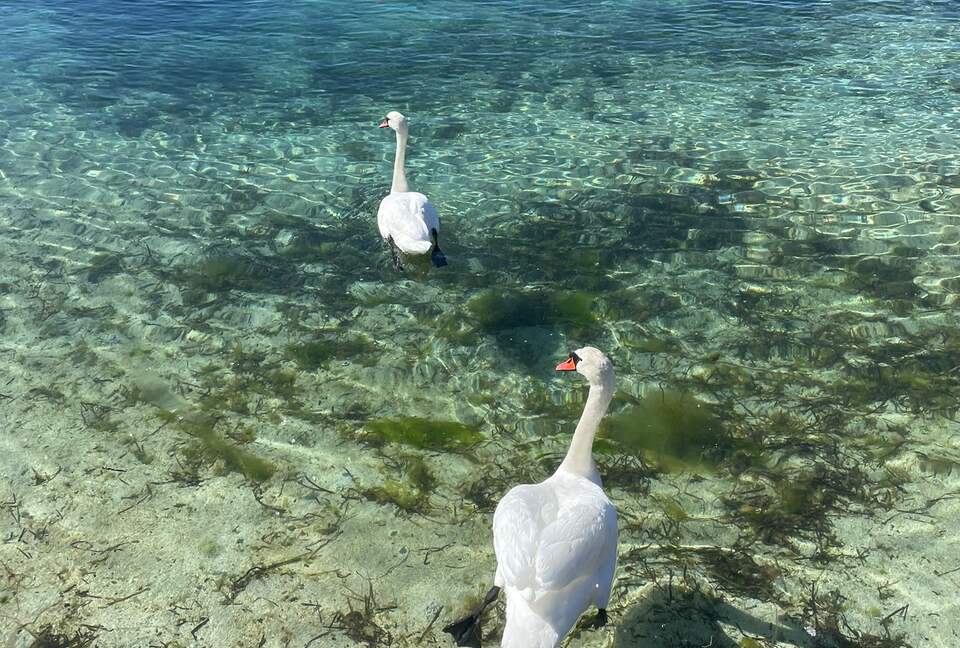 Kampedalen Estate (R) - Kristiansand, Norway
