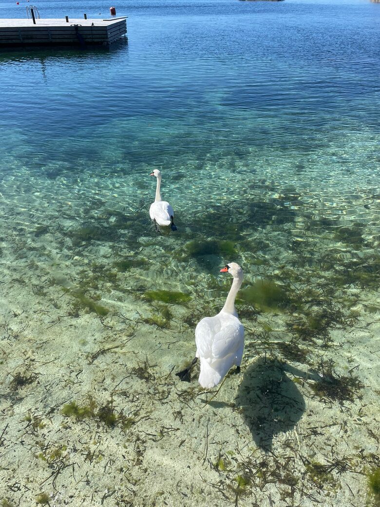 Kampedalen Estate (R) - Kristiansand, Norway