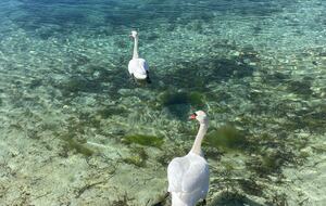 Kampedalen Estate (R) - Kristiansand, Norway