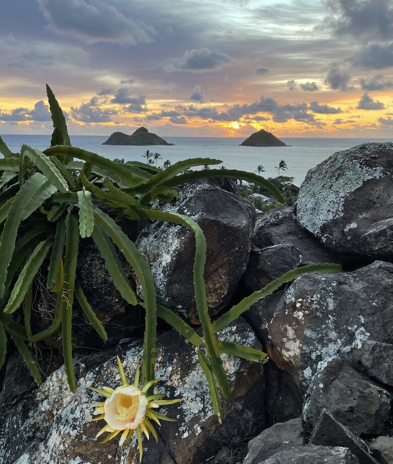 Sweeping Postcard Views of the Mokulua Islands - Kailua, Hawaii